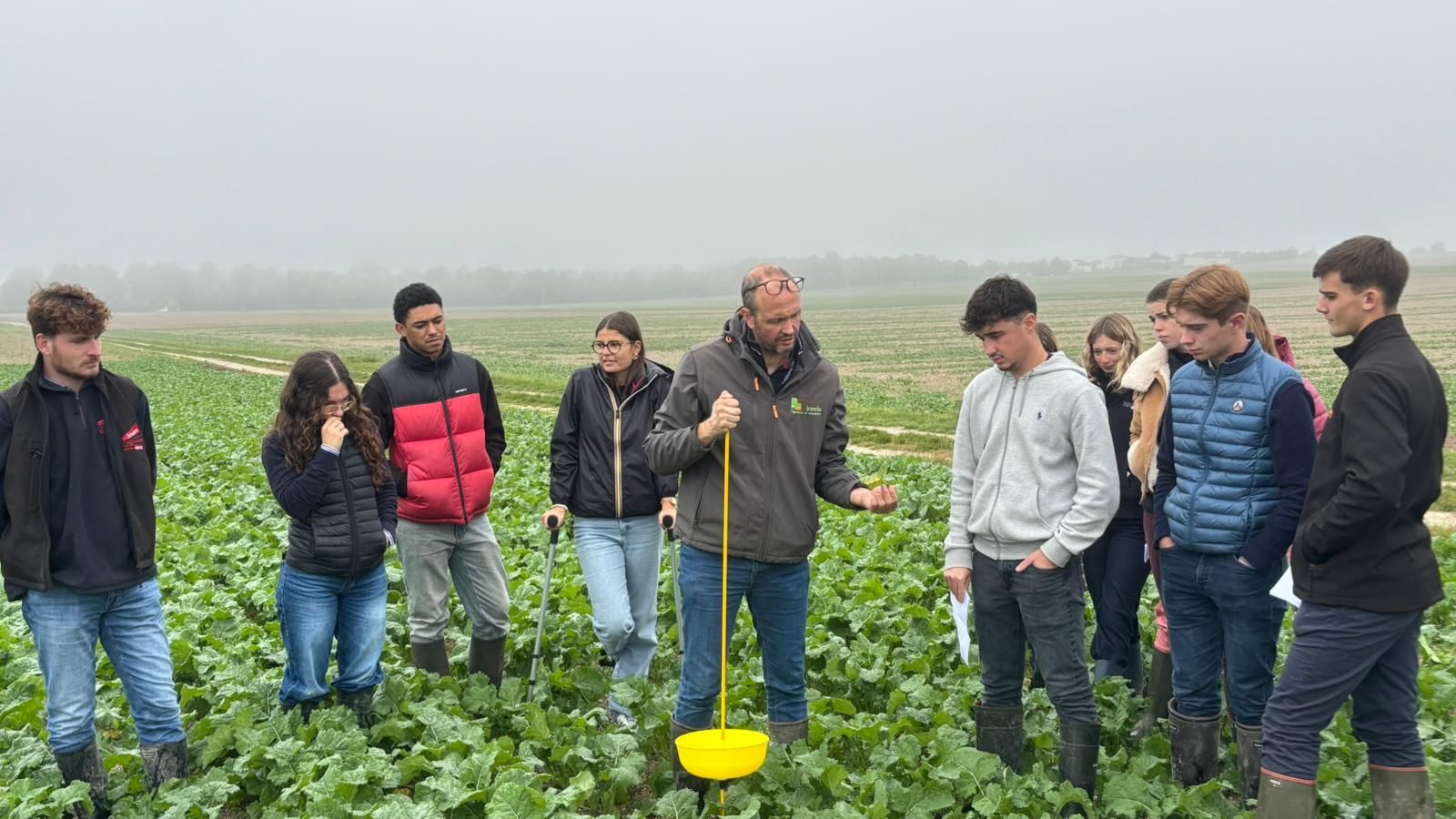 Bac Pro CGEA - Grandes cultures et polyculture-élevage