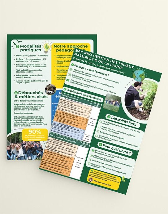 Brochure formation Bac Pro GMNF