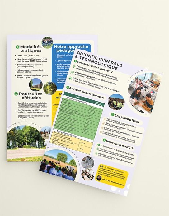 Brochure formation Seconde GT
