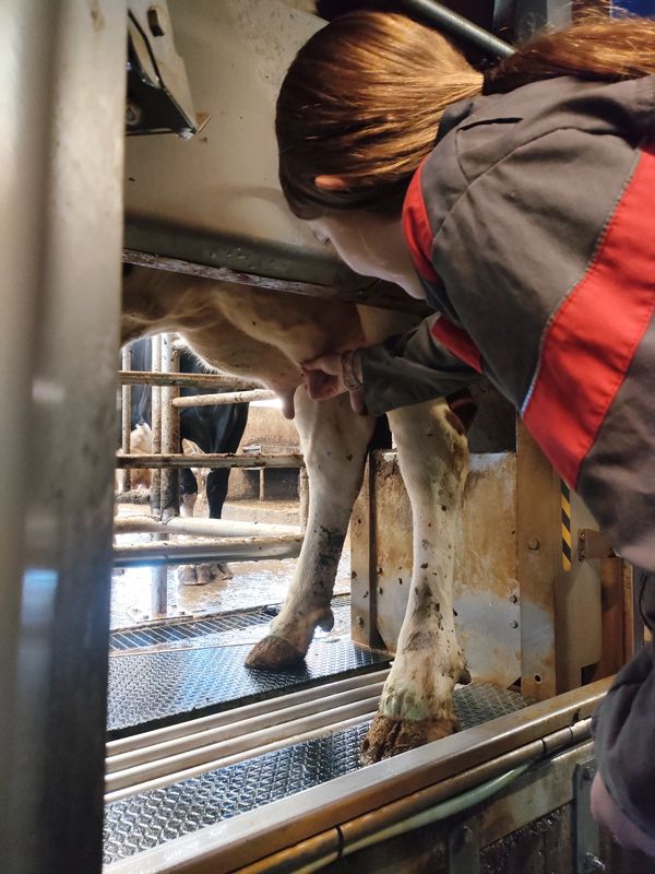 4e et 3e de l'Enseignement Agricole