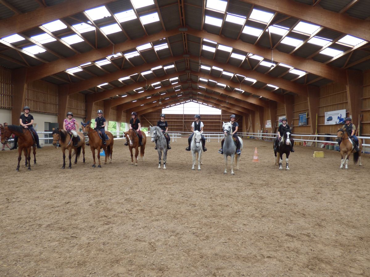 Option Équitation