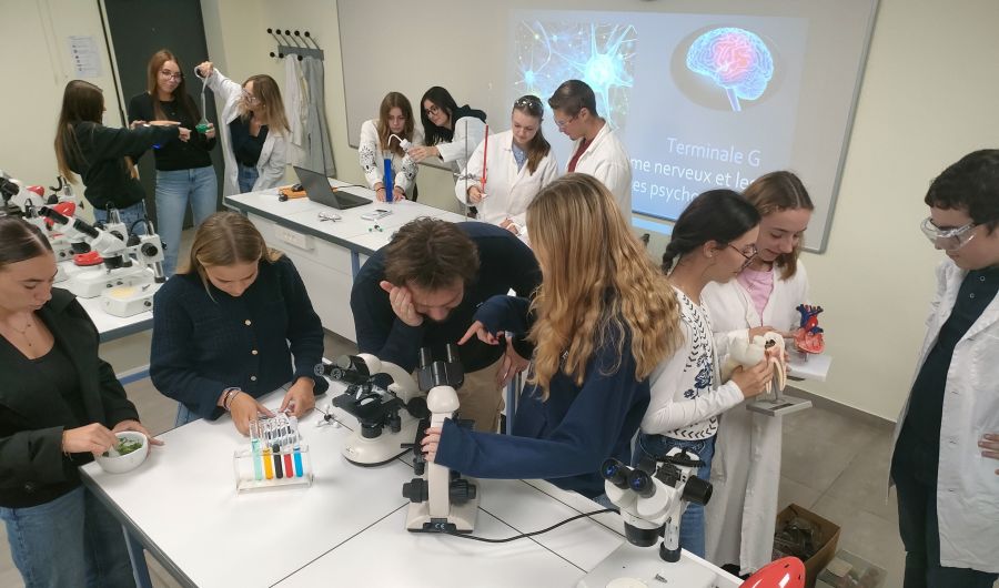 Sciences et poursuite d'études