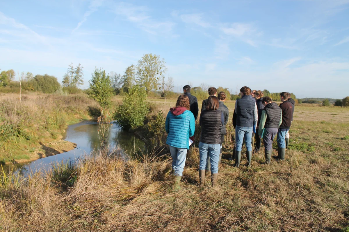 Les élèves observent un cours d’eau bordé de prairies et de végétation à Davrey.