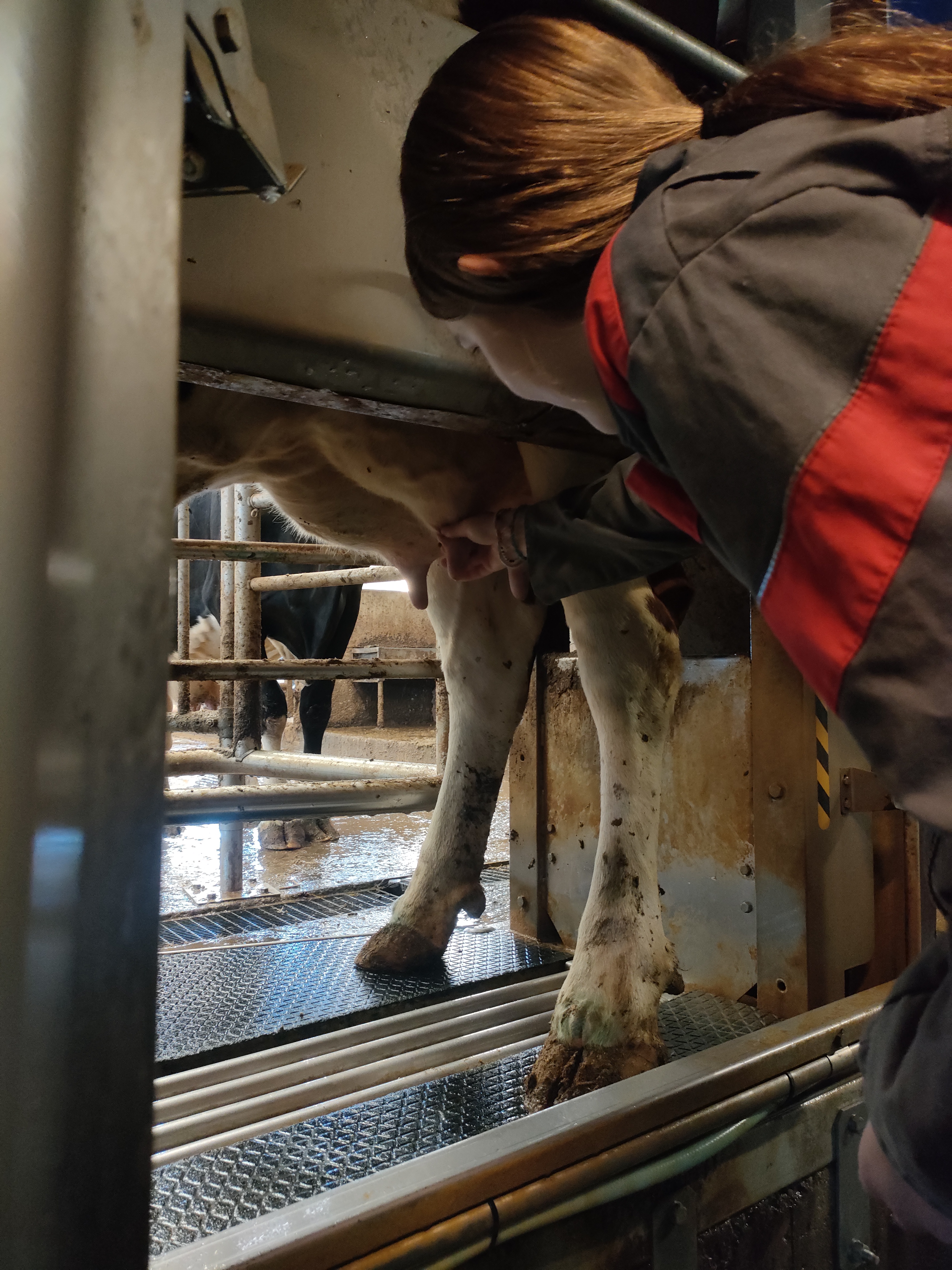 Élèves en formation