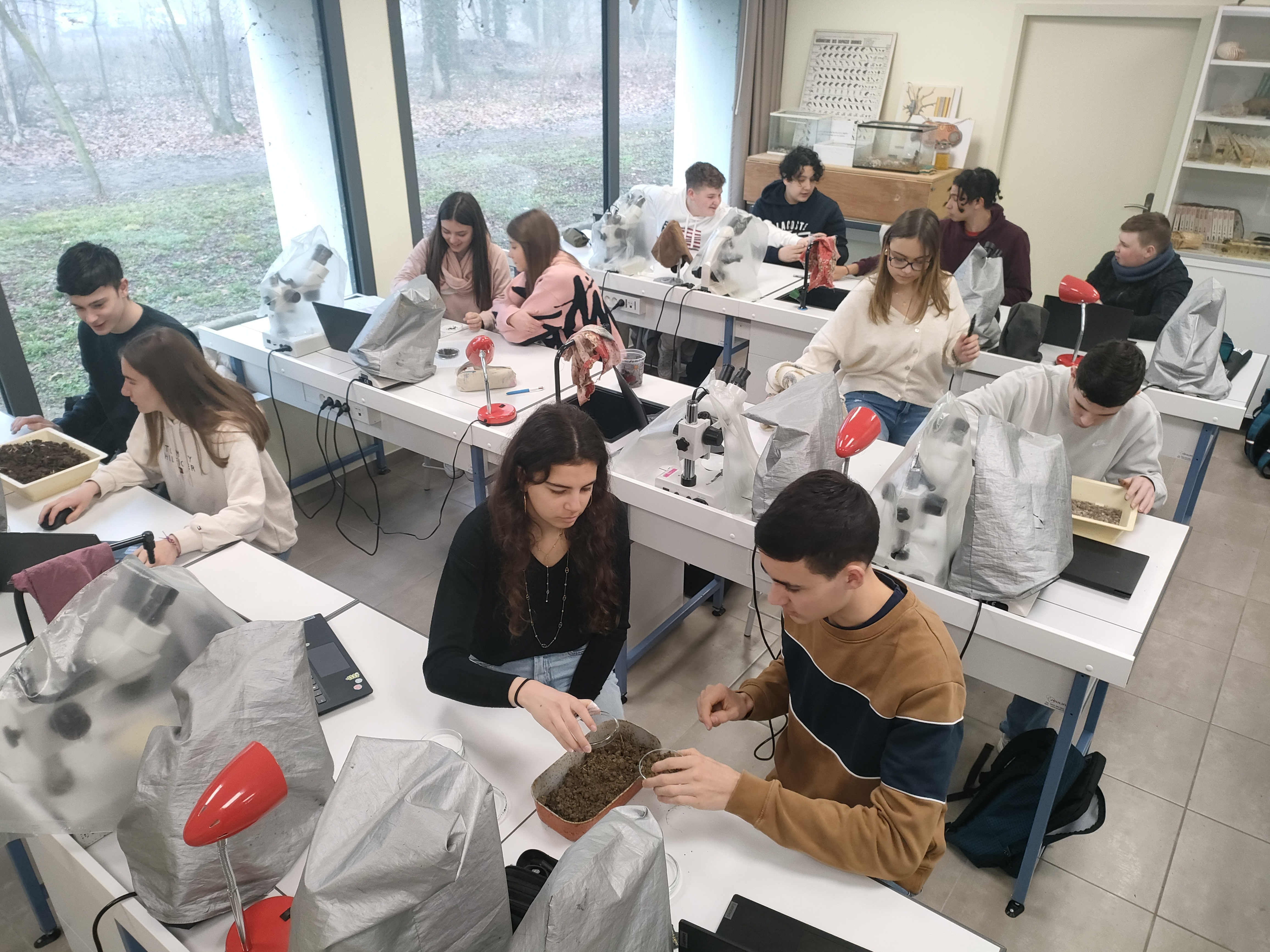 Baccalauréat Général Scientifique