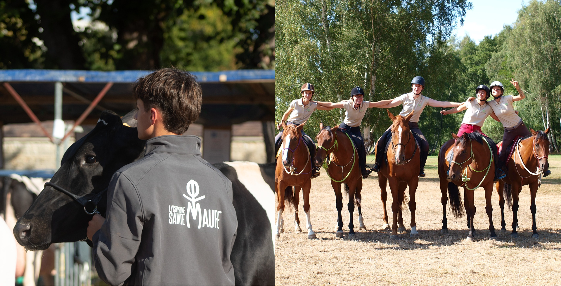 Baccalauréats Professionnels