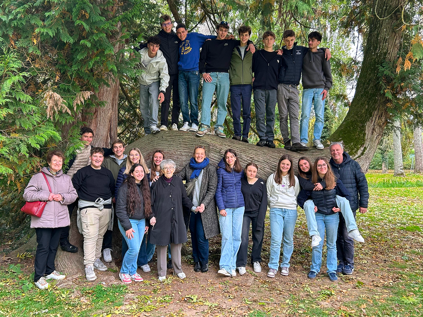 Baccalauréat Technologique STAV