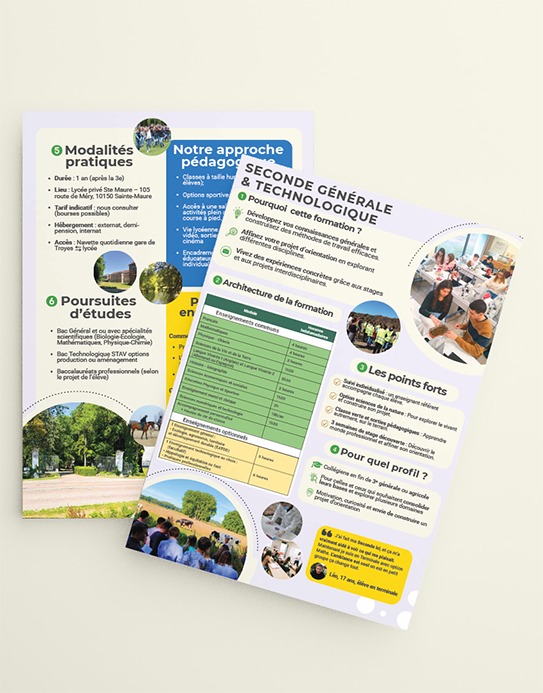 Brochure formation Seconde GT