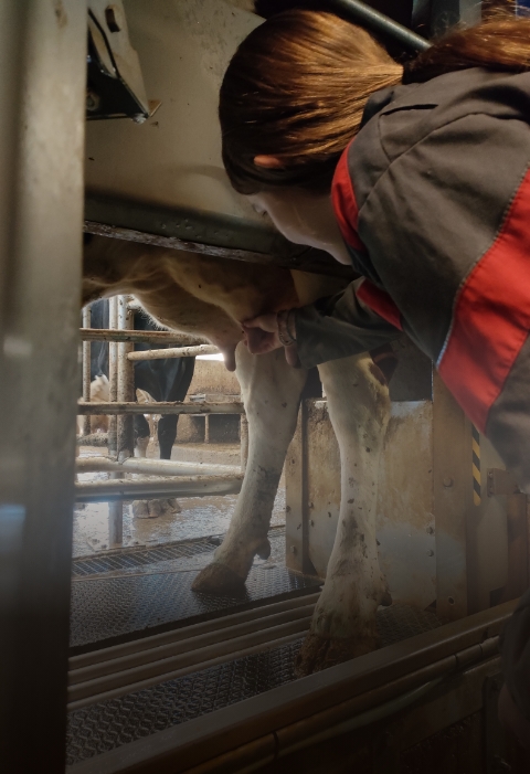 4e et 3e de l'Enseignement Agricole