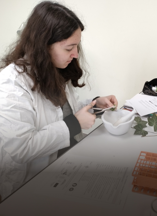 Bac Général -Parcours Scientifique