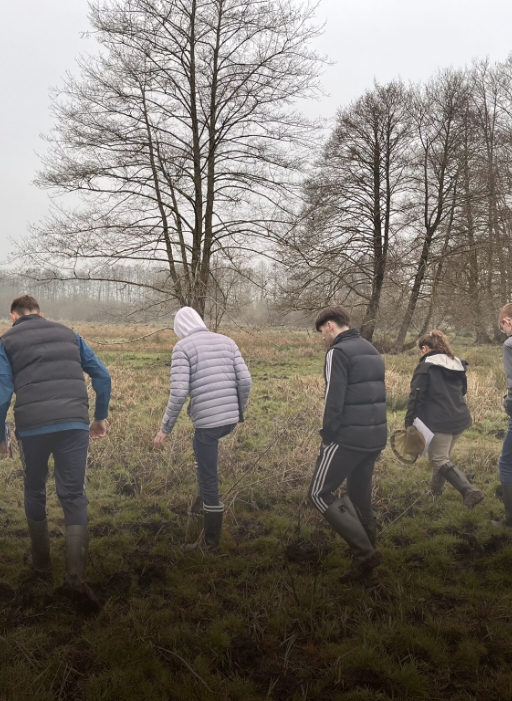Bac Technologique STAV