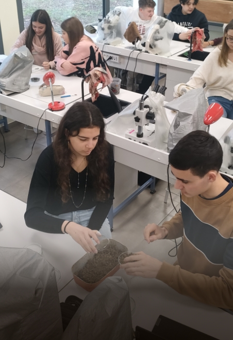 Seconde Générale et Technologique