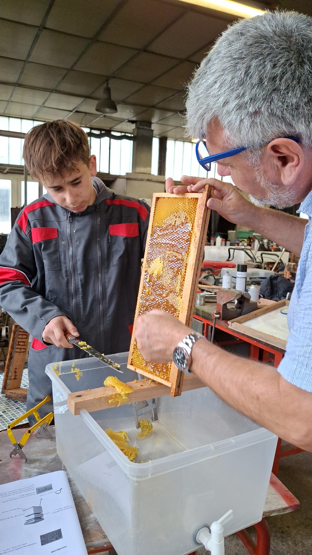 4ème et 3ème de l'enseignement agricole