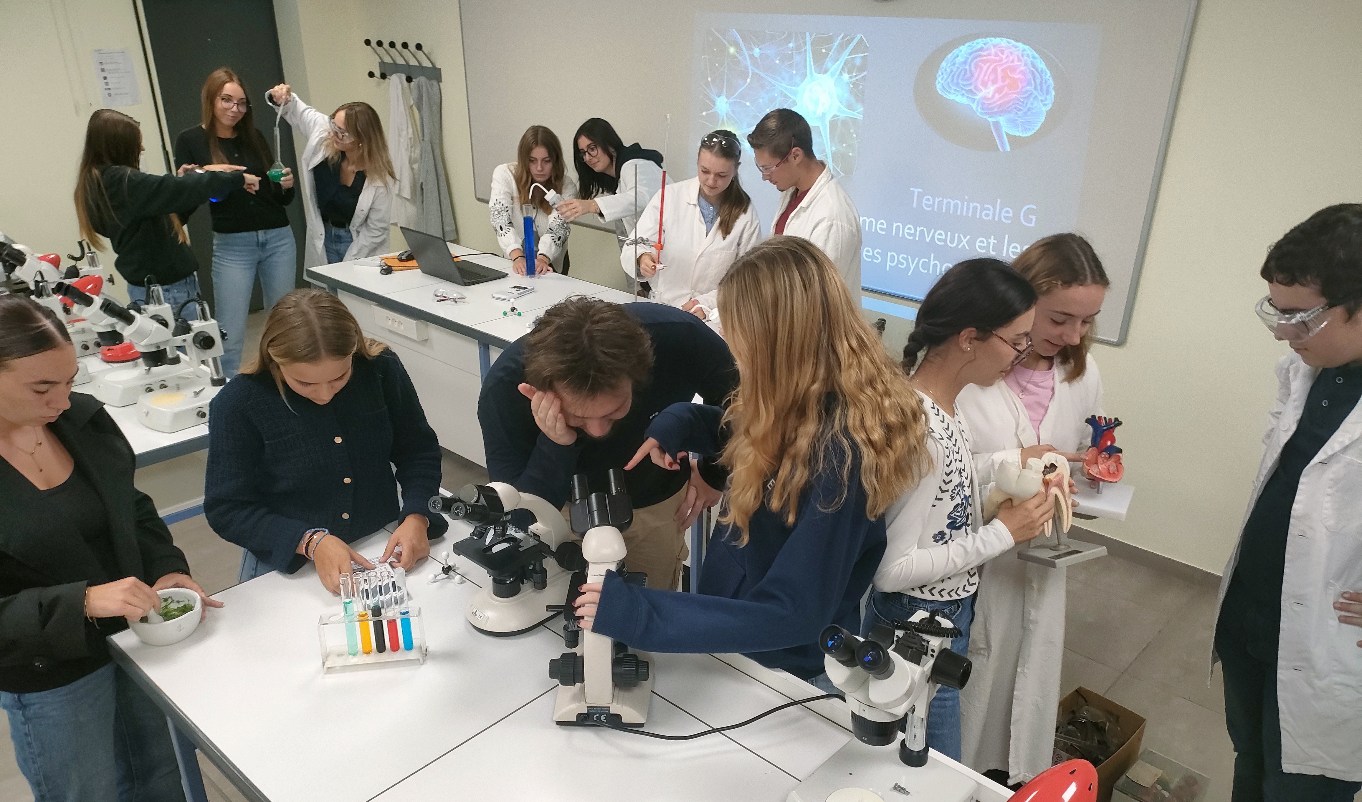 Sciences et poursuite d'études